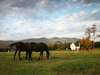 Kurland - Horse Riding 